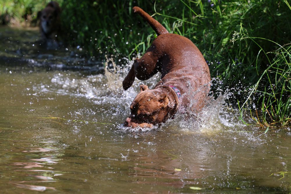 Photograph by Валерия Гуртовая