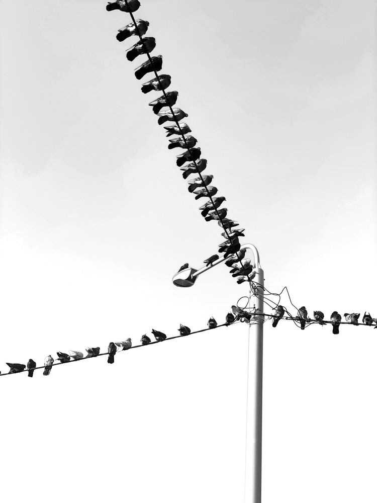 Photograph by Екатерина Яцына