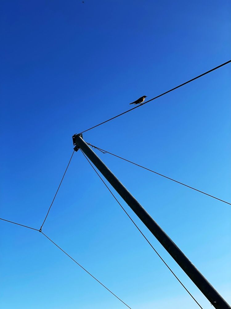 Photograph by Екатерина Яцына