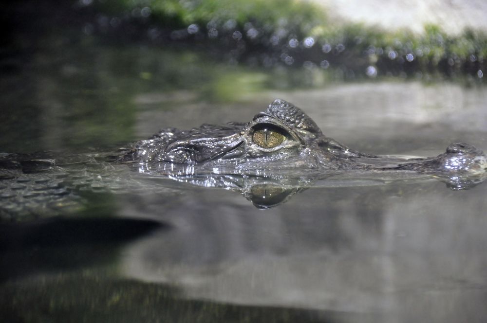 Фотография автора Мария