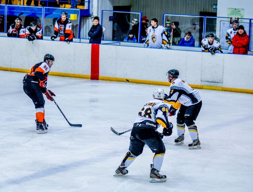 шайба в полёте