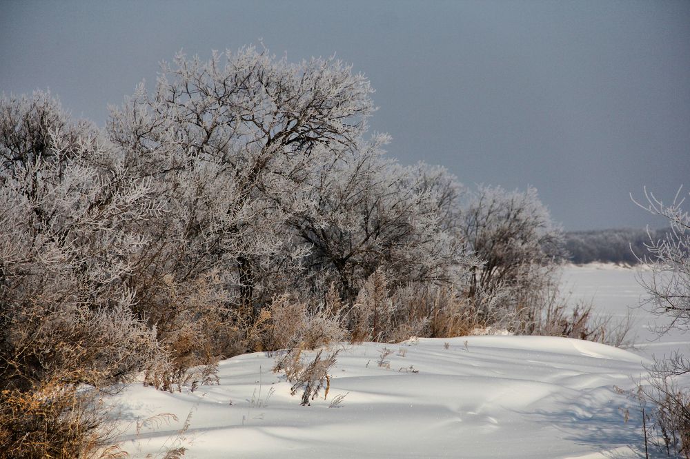 Фотография автора Наталия Мащенко