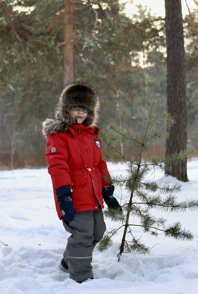 Photograph by Елена Секрет