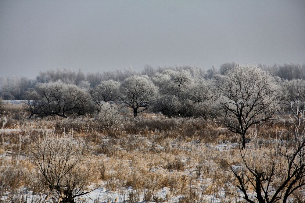 Фотография автора Наталия Мащенко