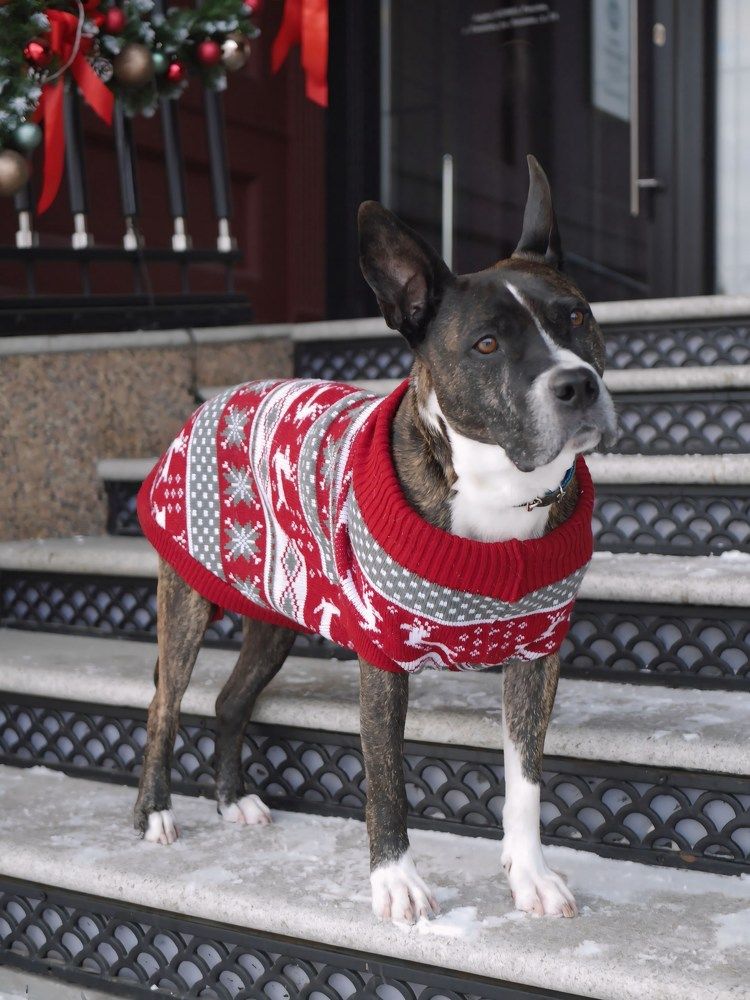 Фотография автора Лариса Хвостова