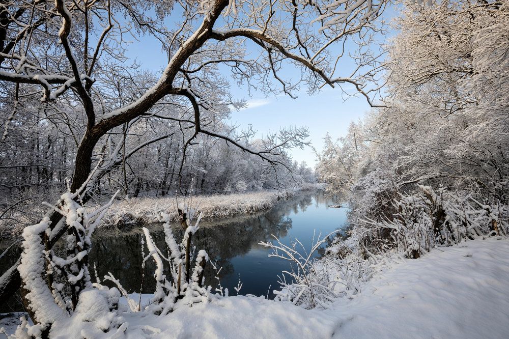 Раскрасила зимушка белым снегом деревья, озера, поля, города...