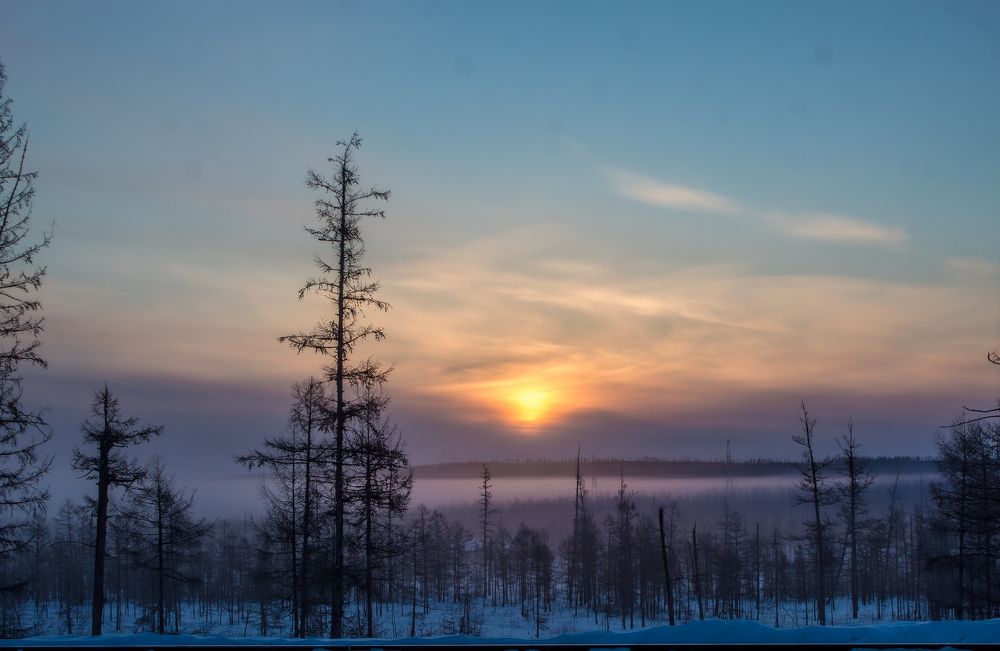 Photograph by Михаил Мархинин