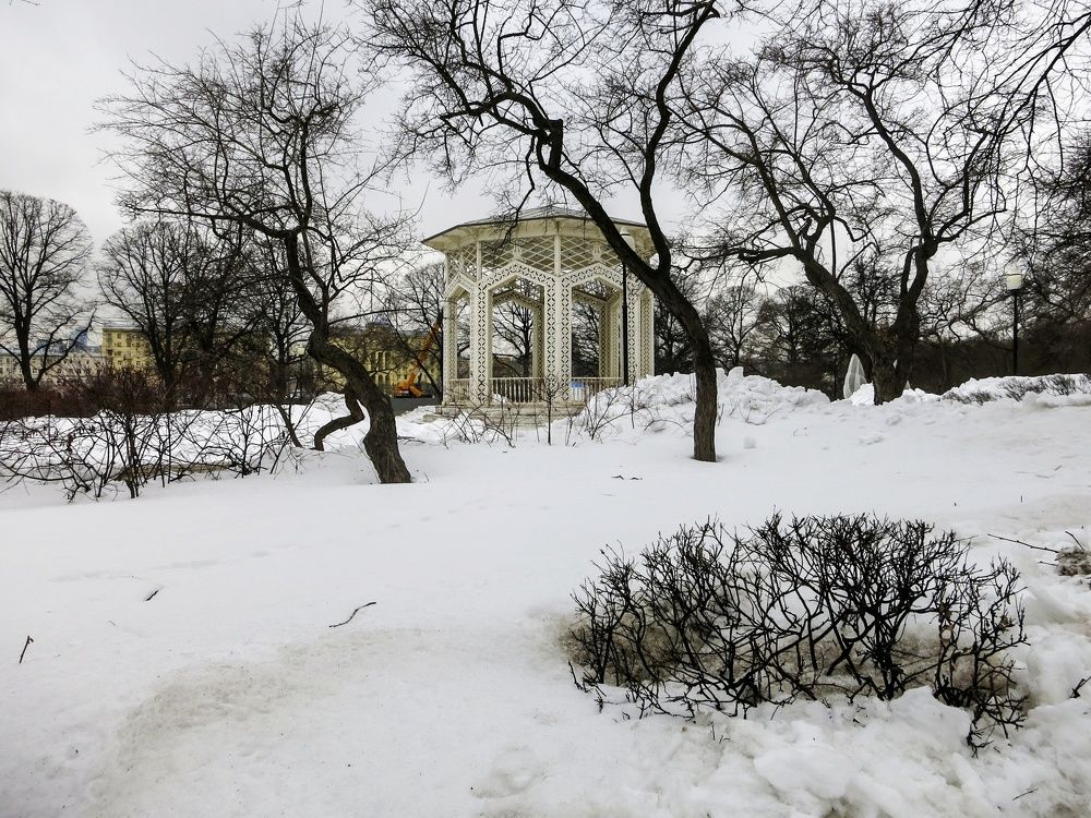 Photograph by Sergey Kurkov-Tarkovsky