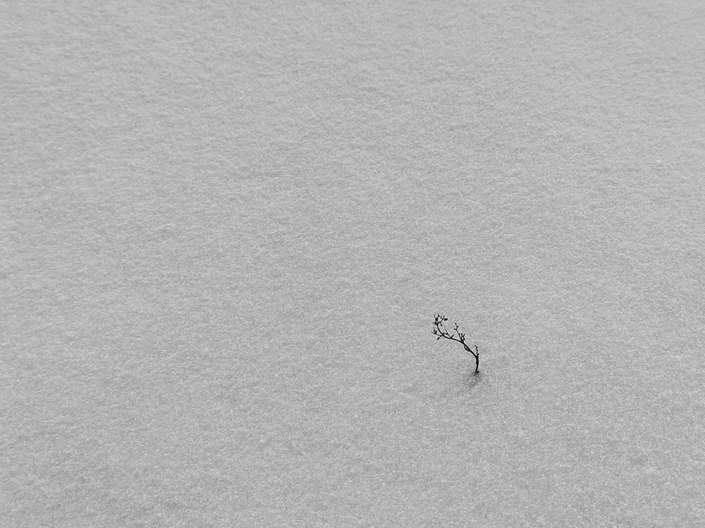 Photograph by Оксана Лоншакова