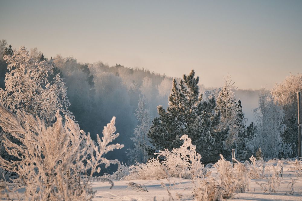 Photograph by Екатерина