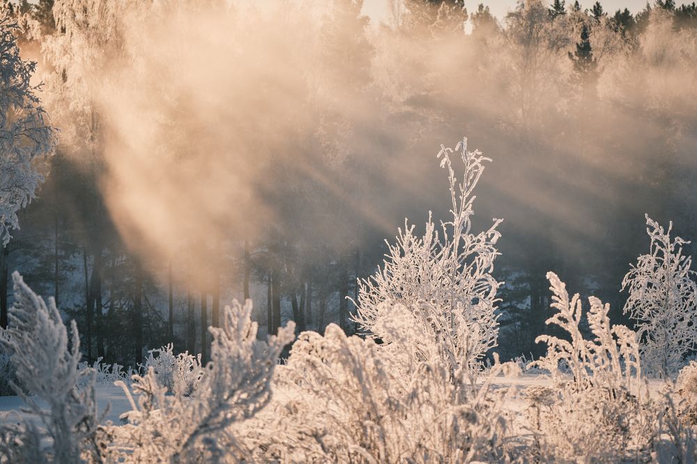 Photograph by Екатерина