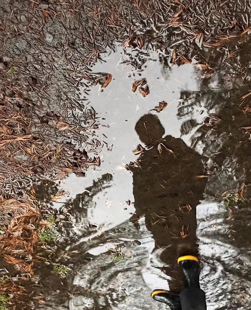 Photograph by Nunu Gambashidze