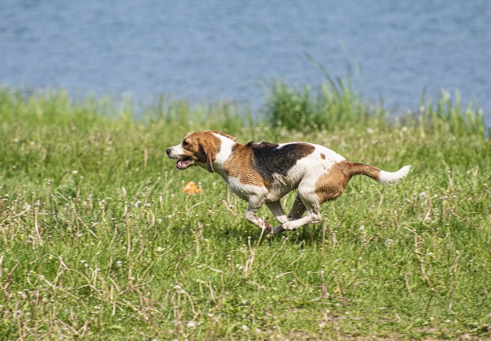 Photograph by Anatoly Lunov