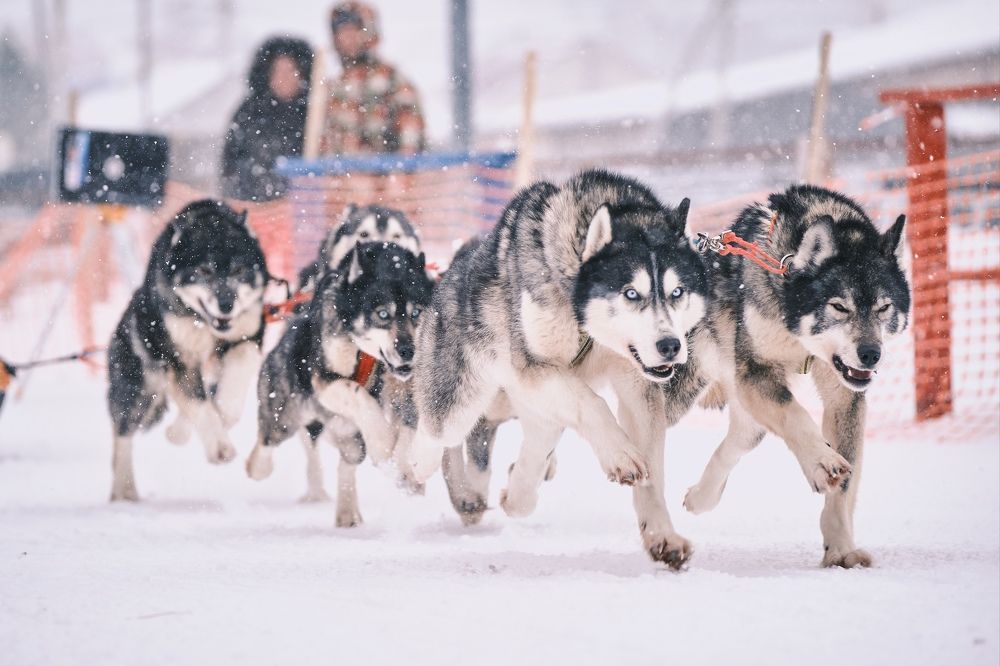 Photograph by Екатерина