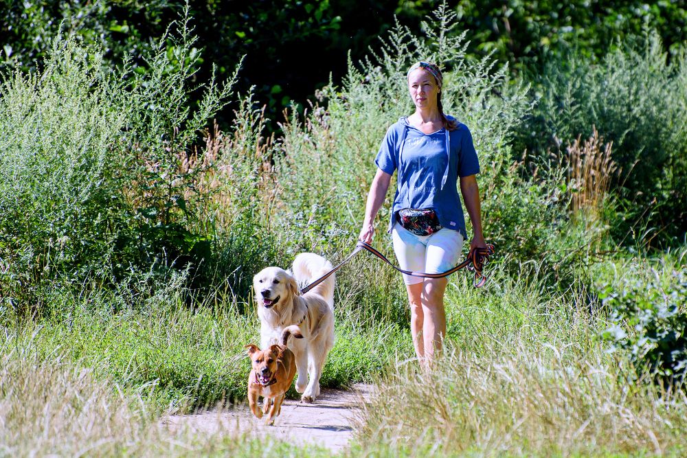 Трое вышли из леса...