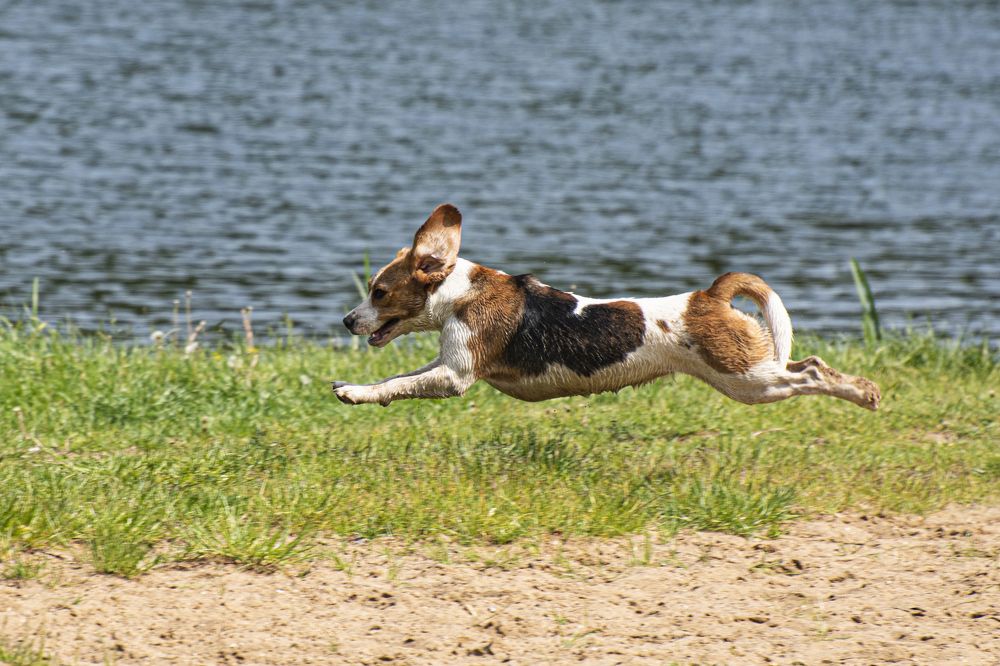 5 секунд полет НОРМАЛЬНЫЙ...