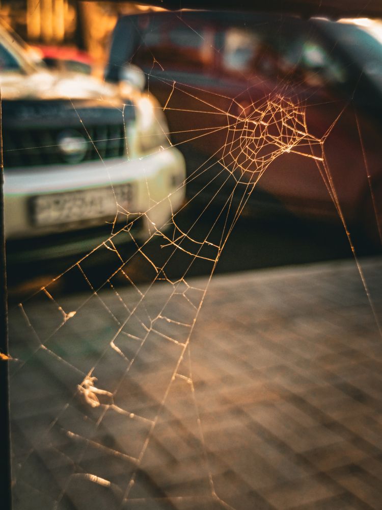 Photograph by Владимир Сушкин