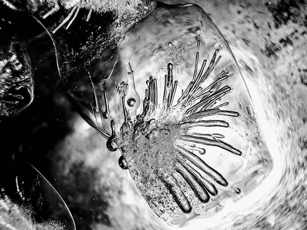 Photograph by Swagat Raj Pyakurel