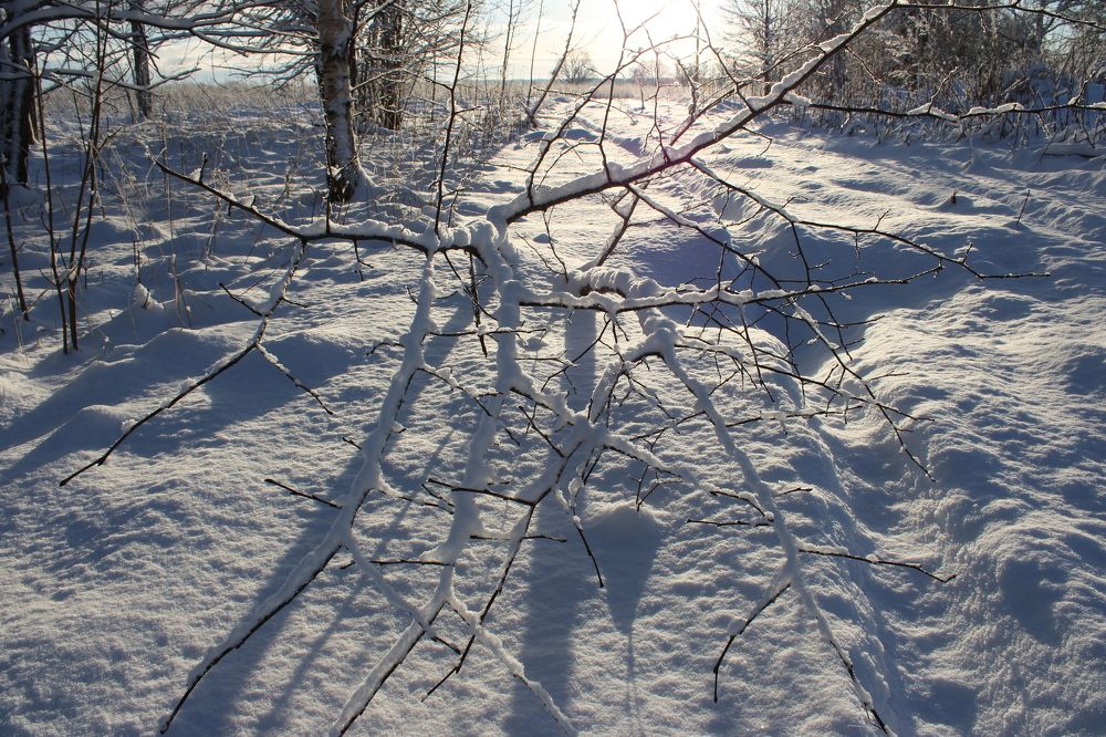 Photograph by Olga Bagaeva