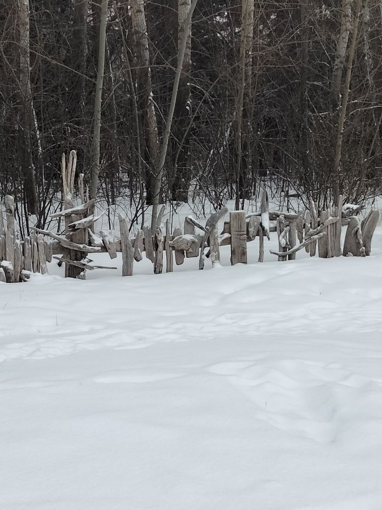 Photo #11702367