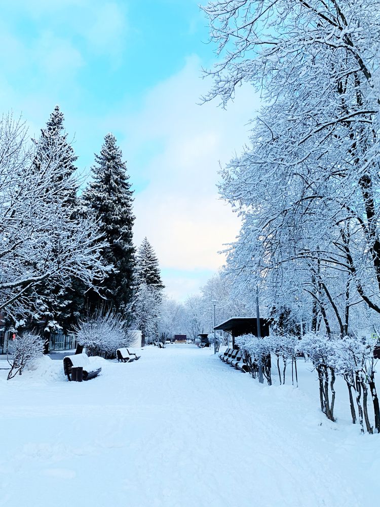 Photograph by Елена Чулюнина