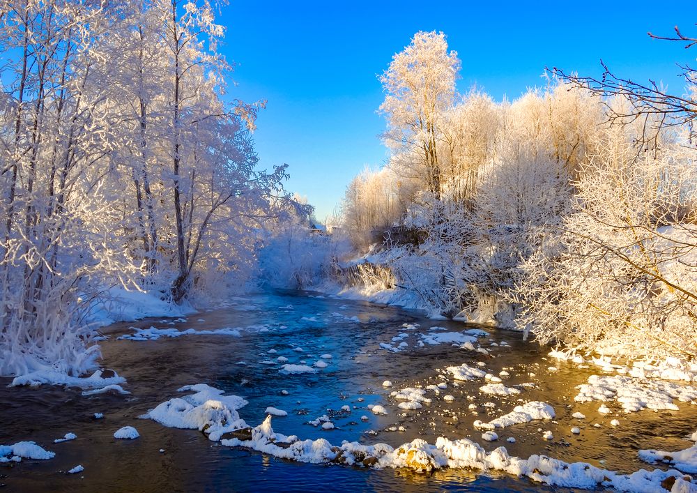 Фотография автора Олег Анатольевич Загорулько