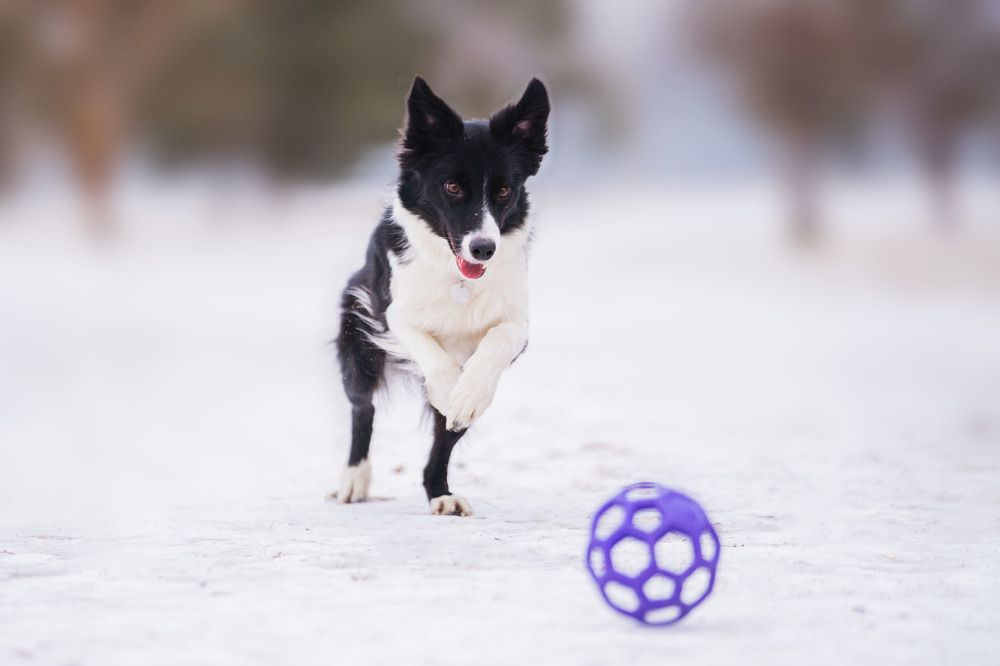 Фотография автора Юлия Бец