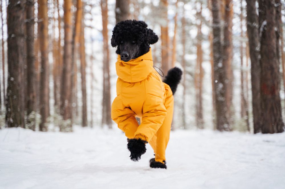 Фотография автора Юлия Бец