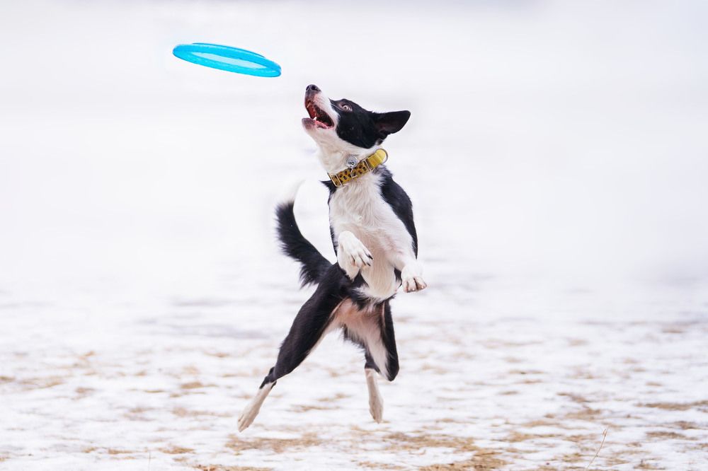 Фотография автора Юлия Бец