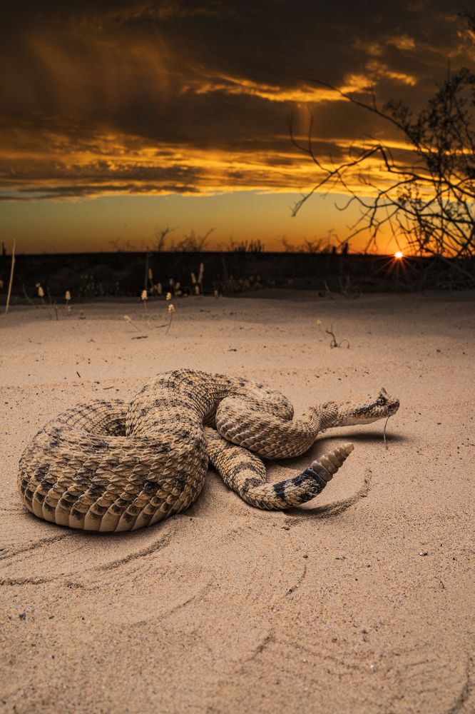 Photograph by Diego Arias