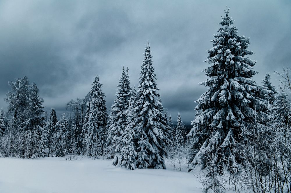 Photograph by Илья Цымбал