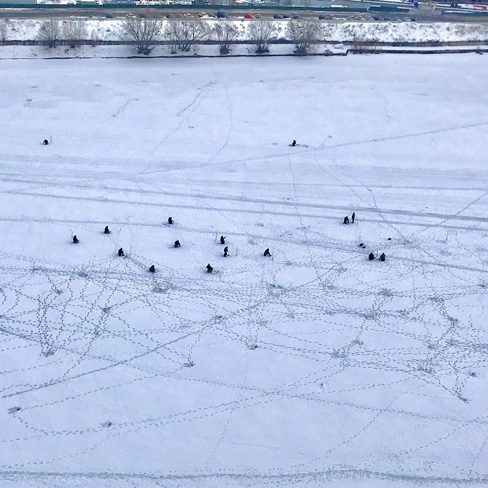 Наследили. Наблюдение из окна.