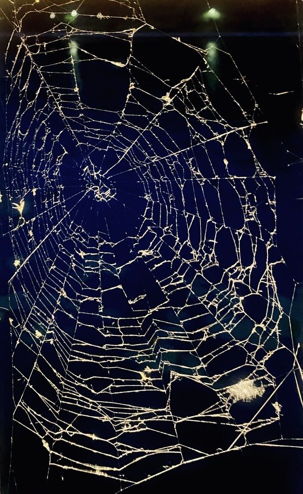 Photograph by Елена Марьюшкина