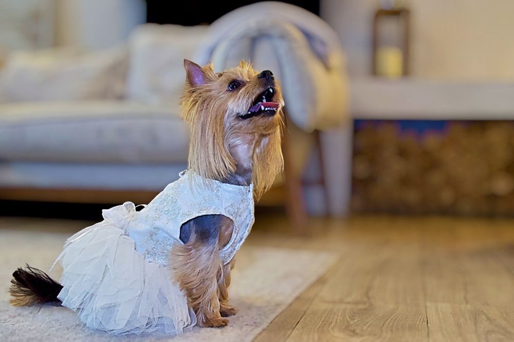 Photograph by Елена Чулюнина