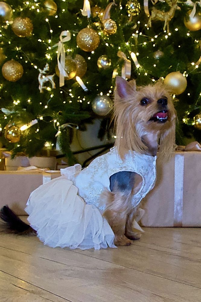 Photograph by Елена Чулюнина