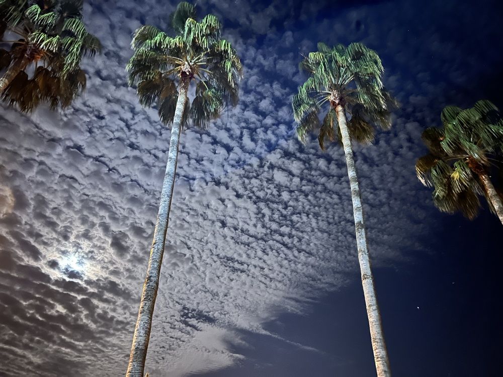 Photograph by Татьяна Унал