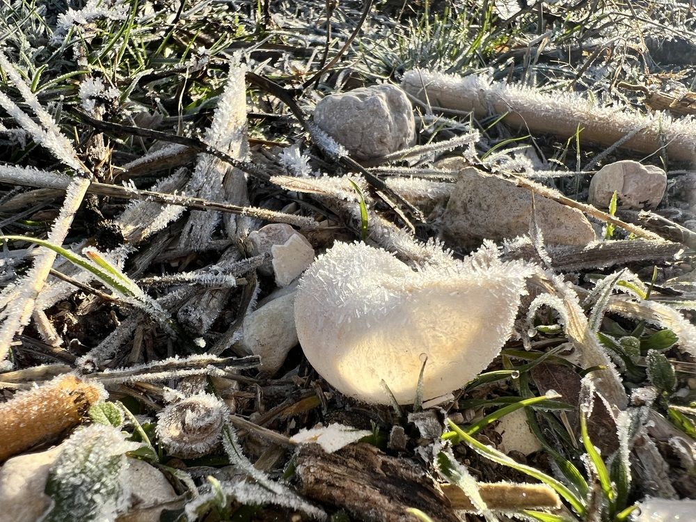 Photograph by Татьяна Унал