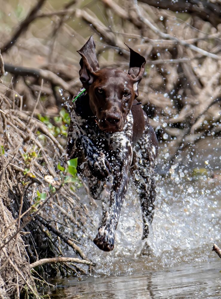 Photograph by Волынский Виктор