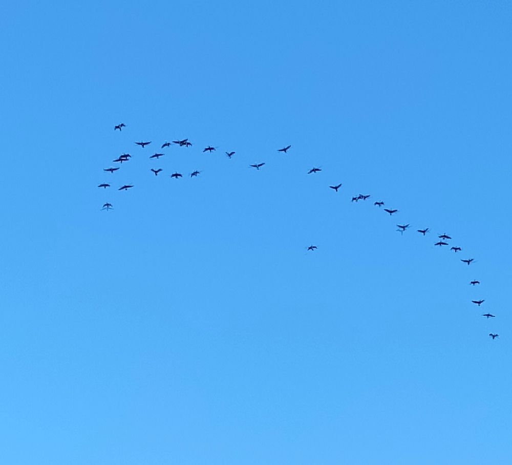 Photograph by Наталья Соколова