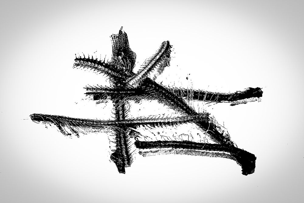 Photograph by Сергей Прокофьев