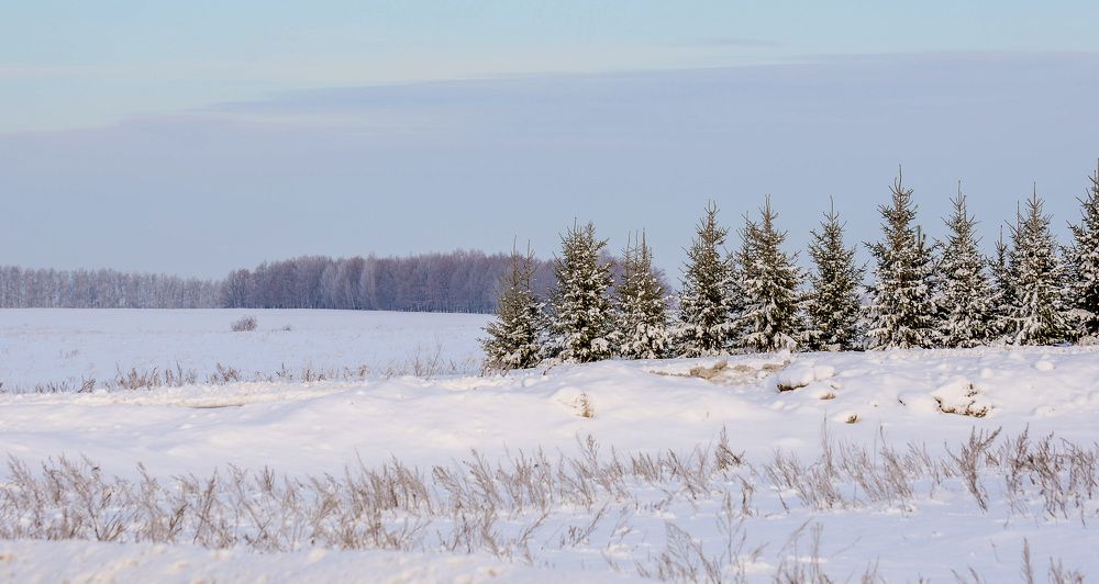 Photograph by Илья Чирков