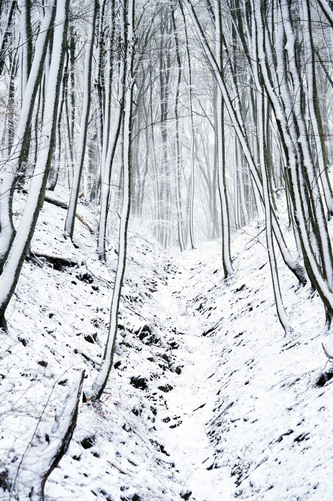 Photograph by Сергей Прокофьев