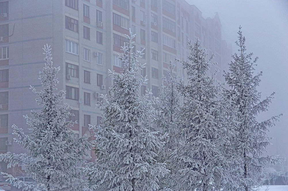 Photograph by Илья Чирков