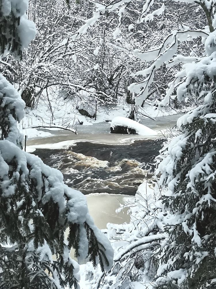 Photograph by Елена Акимова