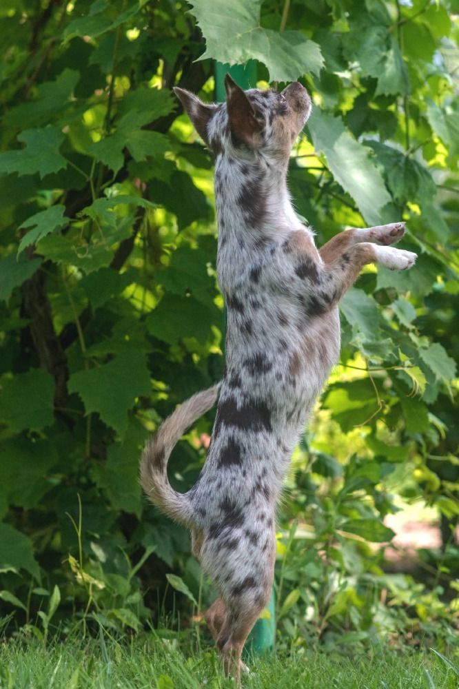 Photograph by Демьян Лопатов