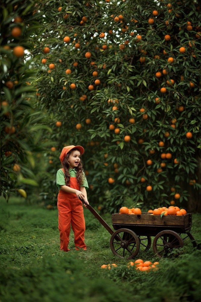 Photograph by Анастасия