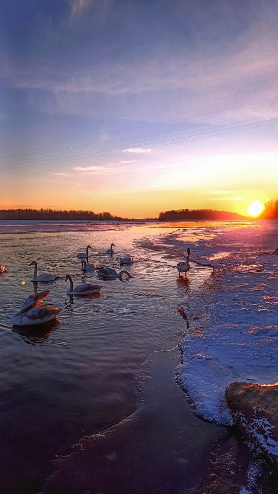 Photograph by Олеся Лосыгина