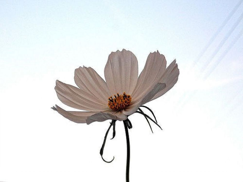 Фотография автора Вера,  Саша  Натан Фотогруппа ВЕСНА