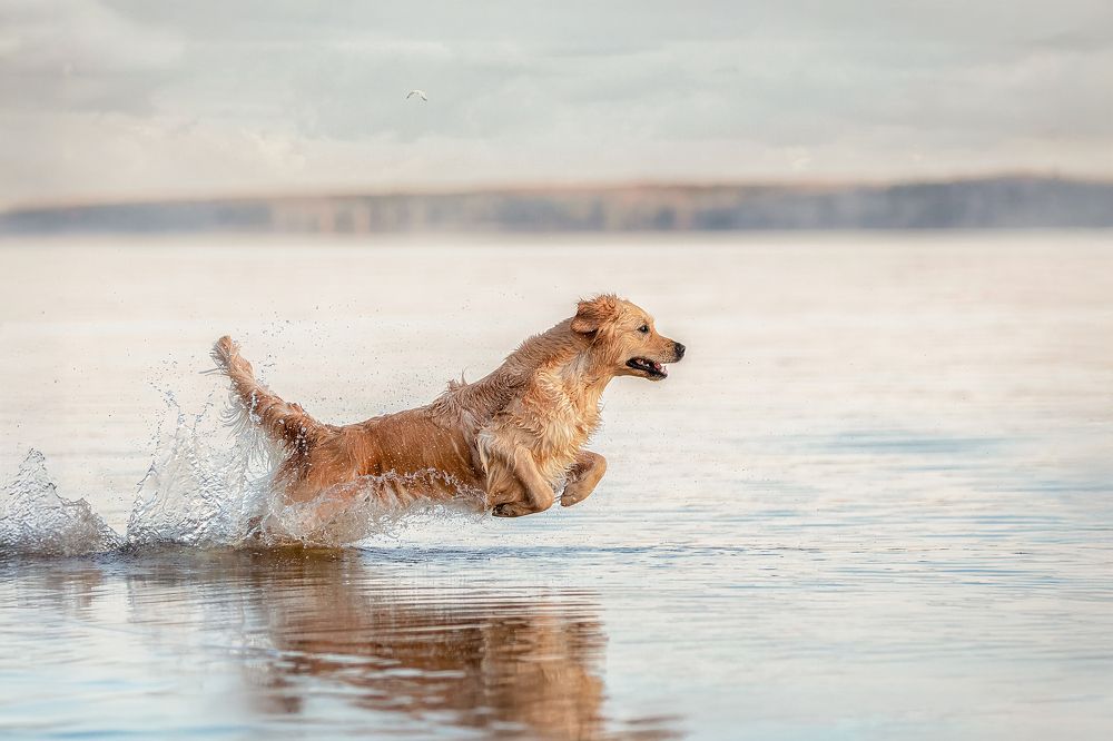 Photograph by Татьяна Тихомирова