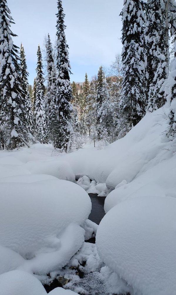 Photograph by Полина